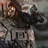 eagle262