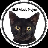 BLU Music Project