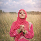 hafsa noor 777