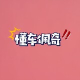 dongchepeiqi