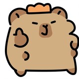 wangliang_