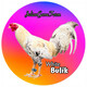 creator avatar