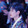 zhou_____