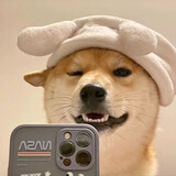 wuguidexiami