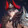 xiaxiaobao-