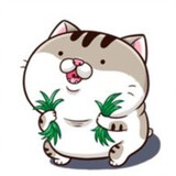 Mèo sẽ gầy