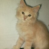 Robi_9807