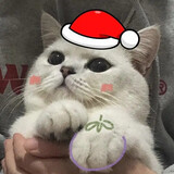 dianxiajieshuo