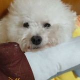 hequanbao