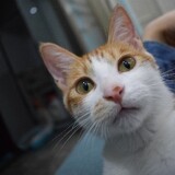 qianduoduohefumanman