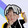 baodanyulejun