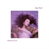katebushbushenriji