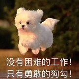 ____ngbaby