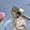 cuishiyi-