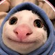 creator avatar