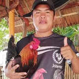 Jobernz TimBernz