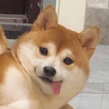 tietiexiaoai