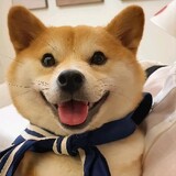 chaichaijunjun