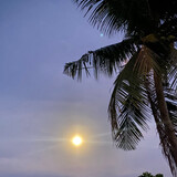 Janica Ashley Serios