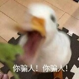 xianglakaoduck