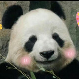 echoyunxixiong___