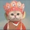 泉ゆうサクタ・アズサガワ