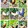 TATAY_MATT_BACKYARD