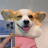y___uxiaoxiaogua