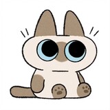 mofa___catz