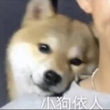 bul___iuhuichanchule