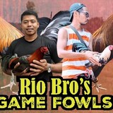 RioBros