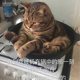 fei___nikuaipaosai