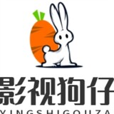 yingshigouzai