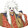 huoyingrenzheweiyan