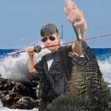 fishguanchayuan