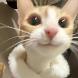 ___memexiaojuchangzi