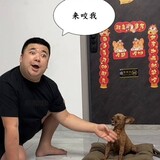 momowaijiao