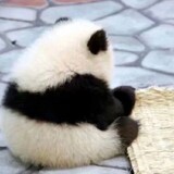 xiaomajuyaya