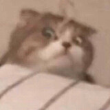 aruguowoyouhaodongxi