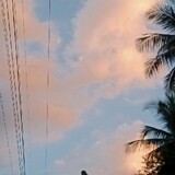 ท้องฟ้ามันแจ่มใสมาก