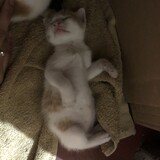 Je-ann Larongco_2636