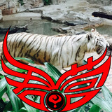 junying-wohucanglongxiaowo