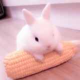 Bunny_Hanna