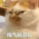 weiquhuhuqiubaobao