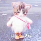 baofuhouxuanren