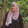 _nraintsha