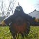 creator avatar
