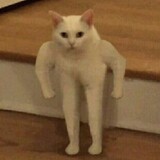 wochiningmengshiliu