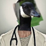 dr.duck