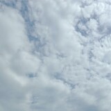 Poii_2178